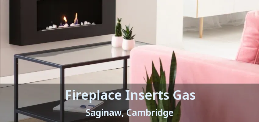Fireplace Inserts Gas Saginaw, Cambridge - ON