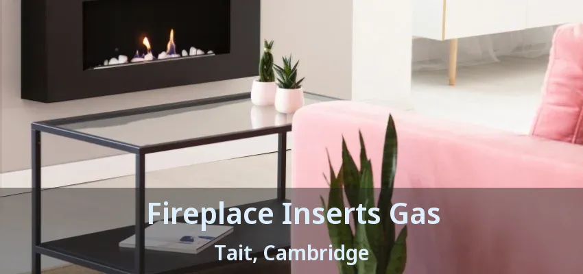 Fireplace Inserts Gas Tait, Cambridge - ON