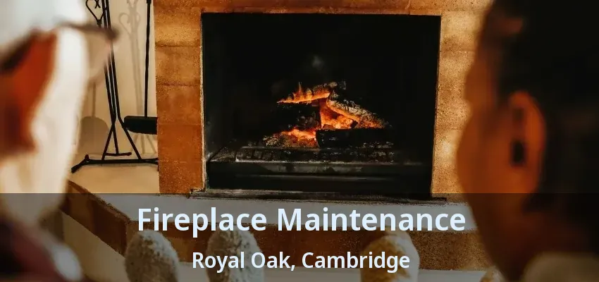 Fireplace Maintenance Royal Oak, Cambridge - ON Fireplace Maintenance Royal Oak, Cambridge - ON