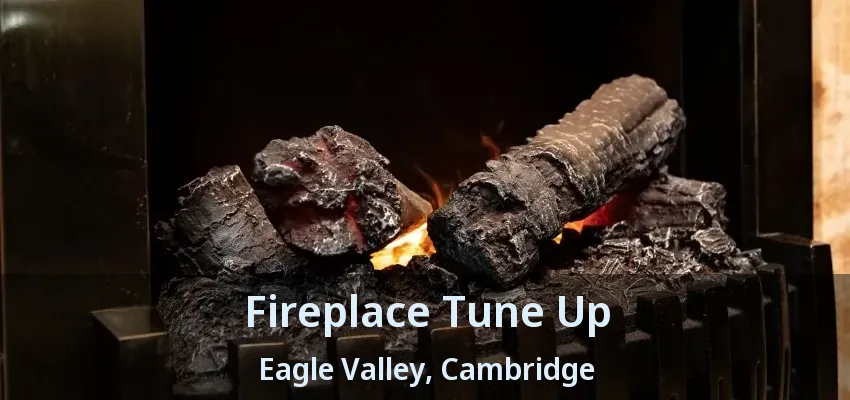 Fireplace Tune Up Eagle Valley, Cambridge - ON Fireplace Tune Up Eagle Valley, Cambridge - ON