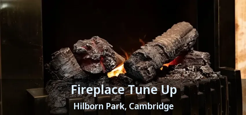 Fireplace Tune Up Hilborn Park, Cambridge - ON