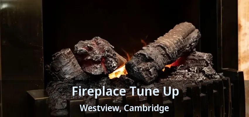 Fireplace Tune Up Westview, Cambridge - ON Fireplace Tune Up Westview, Cambridge - ON