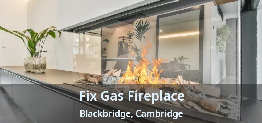 Fix Gas Fireplace Blackbridge, Cambridge - ON