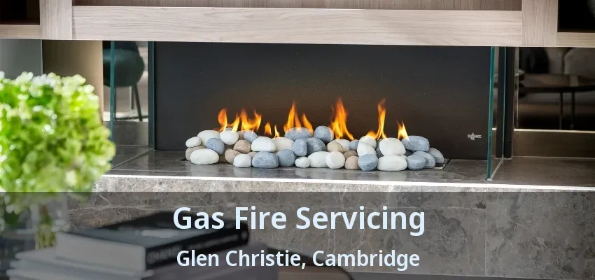 Gas Fire Servicing Glen Christie, Cambridge - ON
