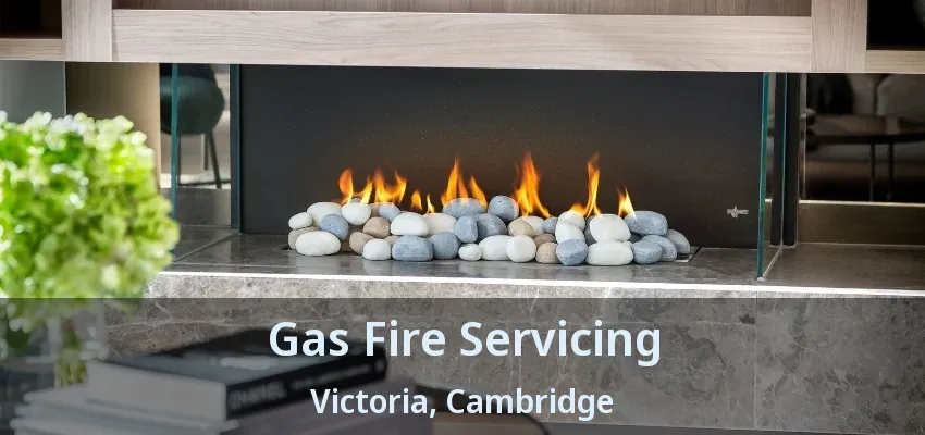 Gas Fire Servicing Victoria, Cambridge - ON