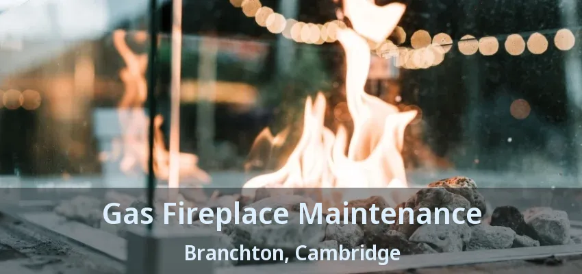 Gas Fireplace Maintenance Branchton, Cambridge - ON