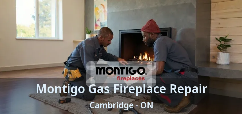 Montigo Gas Fireplace Repair Cambridge - ON