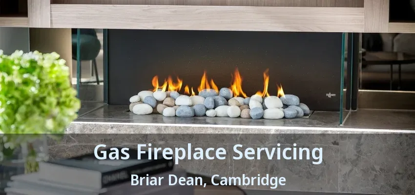 Gas Fireplace Servicing Briar Dean, Cambridge - ON Gas Fireplace Servicing Briar Dean, Cambridge - ON