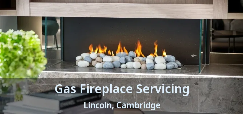 Gas Fireplace Servicing Lincoln, Cambridge - ON