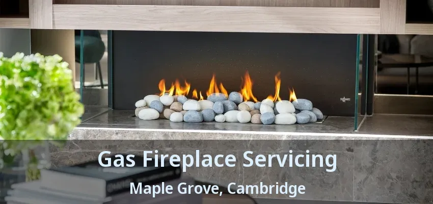 Gas Fireplace Servicing Maple Grove, Cambridge - ON Gas Fireplace Servicing Maple Grove, Cambridge - ON