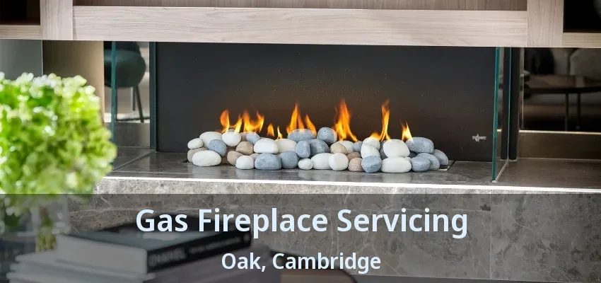 Gas Fireplace Servicing Oak, Cambridge - ON Gas Fireplace Servicing Oak, Cambridge - ON