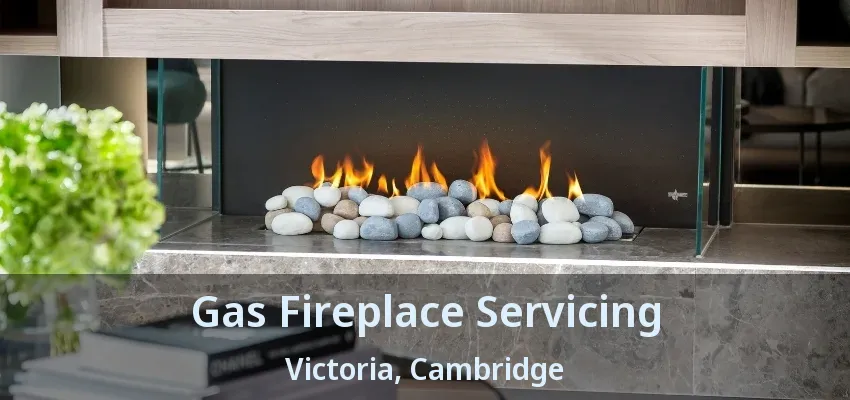 Gas Fireplace Servicing Victoria, Cambridge - ON