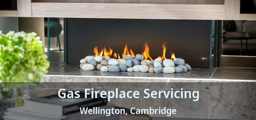Gas Fireplace Servicing Wellington, Cambridge - ON