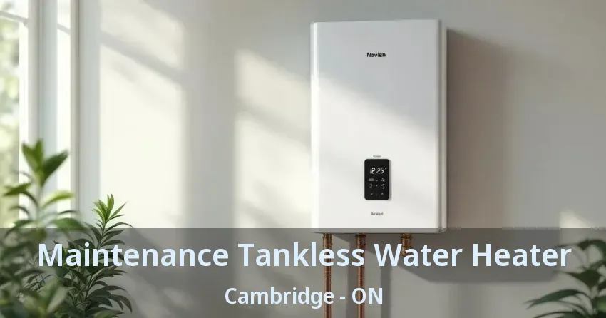 Maintenance Tankless Water Heater Cambridge - ON Maintenance Tankless Water Heater Cambridge - ON