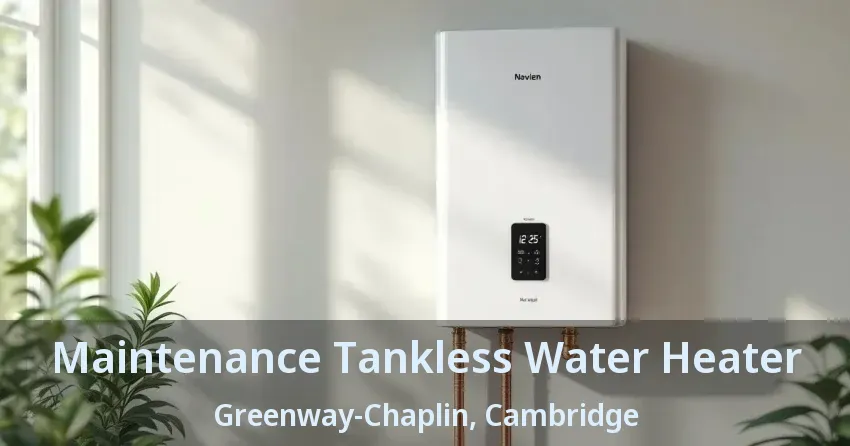 Maintenance Tankless Water Heater Greenway-Chaplin, Cambridge - ON Maintenance Tankless Water Heater Greenway-Chaplin, Cambridge - ON