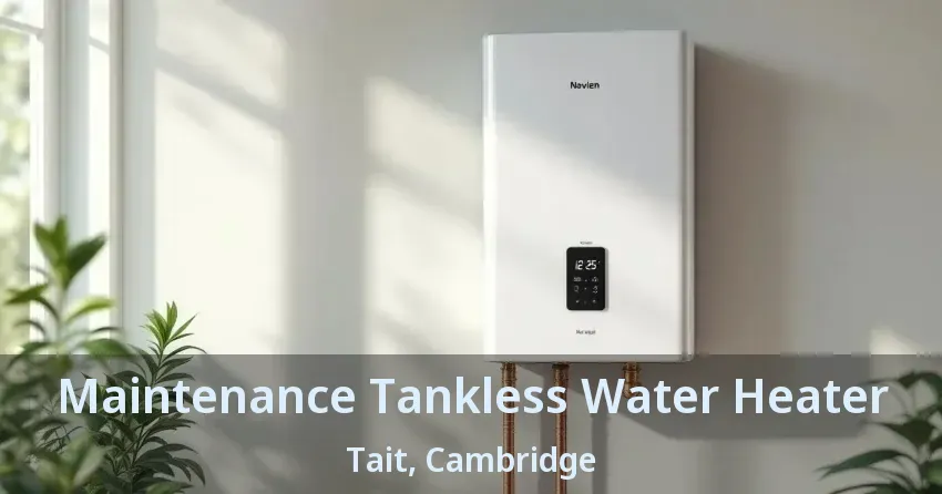 Maintenance Tankless Water Heater Tait, Cambridge - ON Maintenance Tankless Water Heater Tait, Cambridge - ON