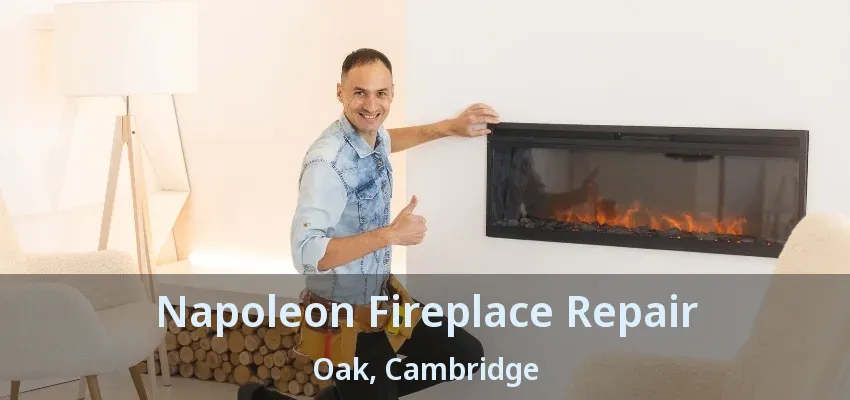 Napoleon Fireplace Repair Oak, Cambridge - ON