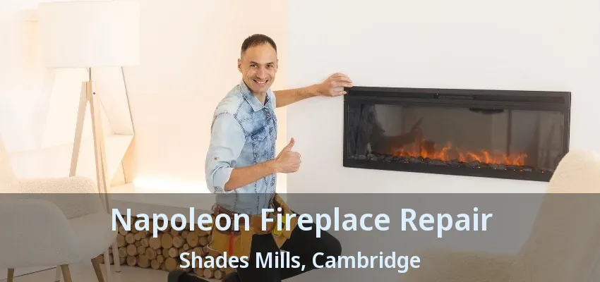 Napoleon Fireplace Repair Shades Mills, Cambridge - ON