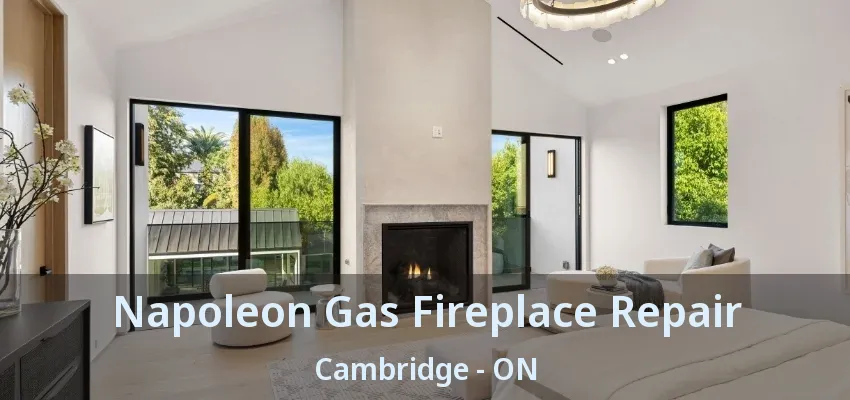 Napoleon Gas Fireplace Repair Cambridge - ON Napoleon Gas Fireplace Repair Cambridge - ON