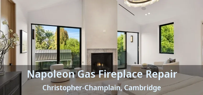 Napoleon Gas Fireplace Repair Christopher-Champlain, Cambridge - ON