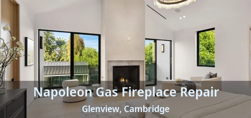 Napoleon Gas Fireplace Repair Glenview, Cambridge - ON Napoleon Gas Fireplace Repair Glenview, Cambridge - ON