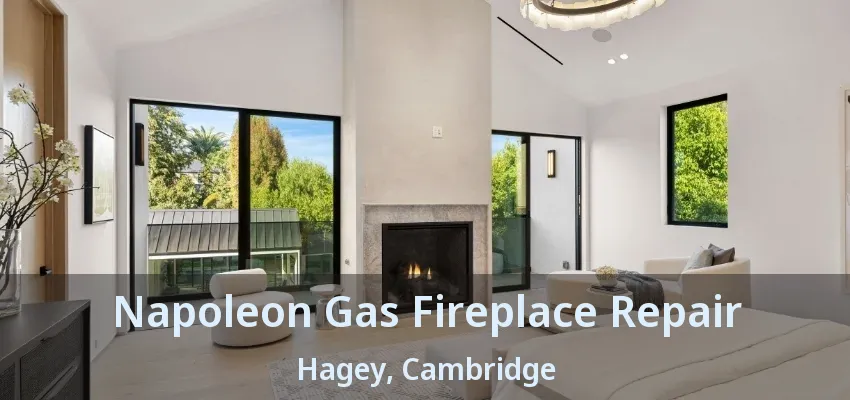 Napoleon Gas Fireplace Repair Hagey, Cambridge - ON Napoleon Gas Fireplace Repair Hagey, Cambridge - ON