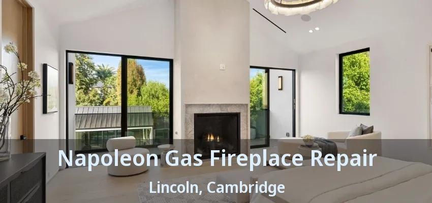 Napoleon Gas Fireplace Repair Lincoln, Cambridge - ON Napoleon Gas Fireplace Repair Lincoln, Cambridge - ON