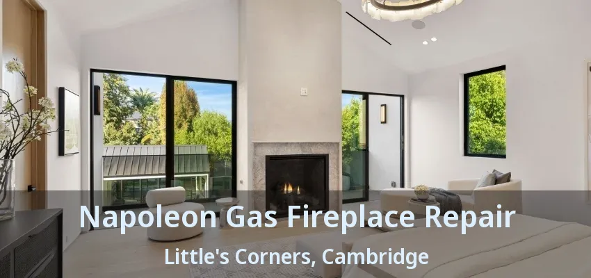 Napoleon Gas Fireplace Repair Little's Corners, Cambridge - ON Napoleon Gas Fireplace Repair Little's Corners, Cambridge - ON