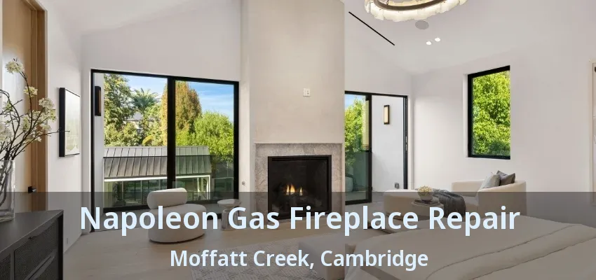 Napoleon Gas Fireplace Repair Moffatt Creek, Cambridge - ON Napoleon Gas Fireplace Repair Moffatt Creek, Cambridge - ON