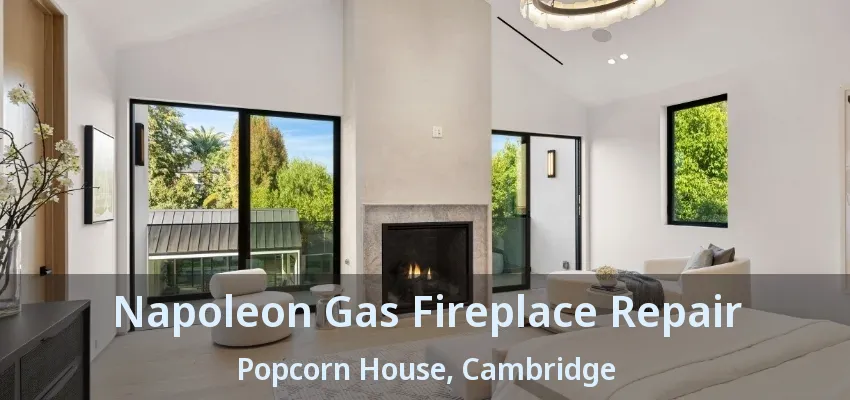 Napoleon Gas Fireplace Repair Popcorn House, Cambridge - ON Napoleon Gas Fireplace Repair Popcorn House, Cambridge - ON