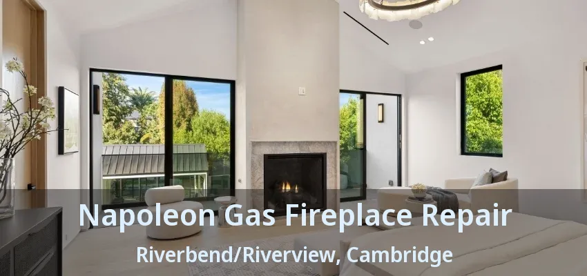 Napoleon Gas Fireplace Repair Riverbend/Riverview, Cambridge - ON