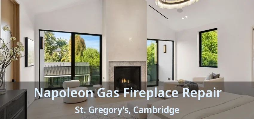 Napoleon Gas Fireplace Repair St. Gregory's, Cambridge - ON
