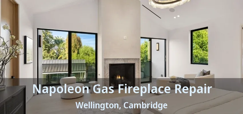 Napoleon Gas Fireplace Repair Wellington, Cambridge - ON Napoleon Gas Fireplace Repair Wellington, Cambridge - ON
