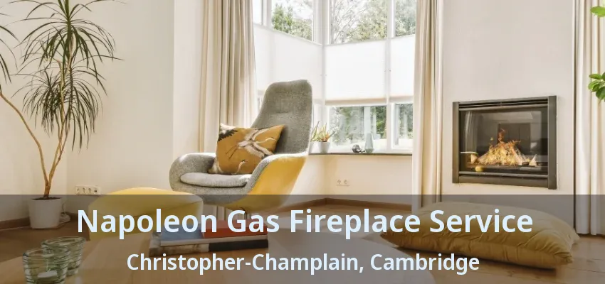 Napoleon Gas Fireplace Service Christopher-Champlain, Cambridge - ON Napoleon Gas Fireplace Service Christopher-Champlain, Cambridge - ON