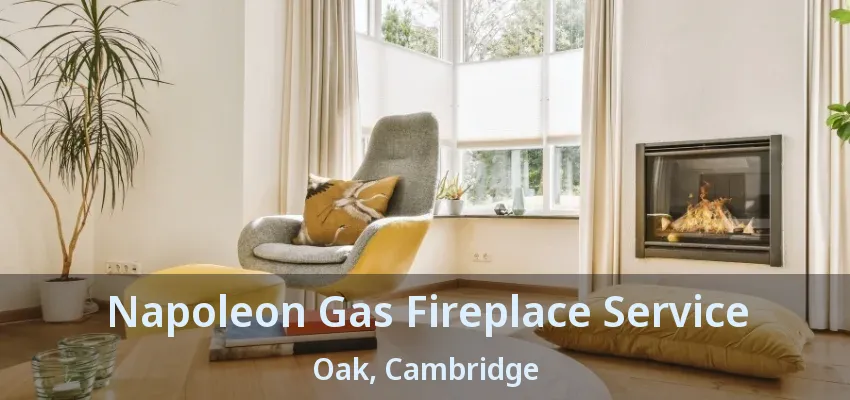 Napoleon Gas Fireplace Service Oak, Cambridge - ON Napoleon Gas Fireplace Service Oak, Cambridge - ON