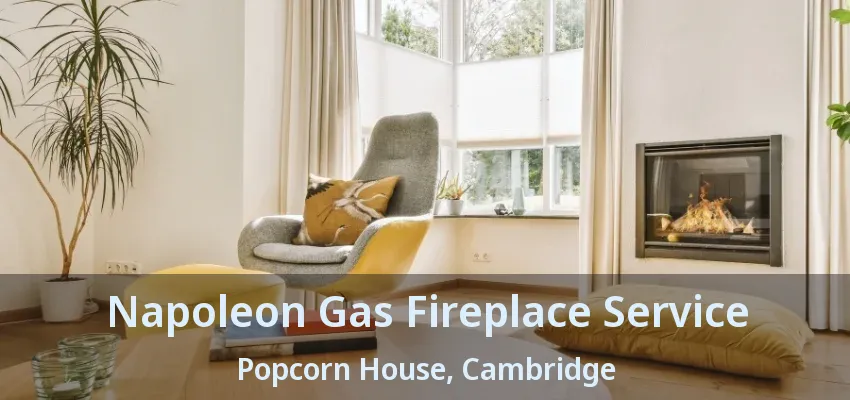 Napoleon Gas Fireplace Service Popcorn House, Cambridge - ON Napoleon Gas Fireplace Service Popcorn House, Cambridge - ON