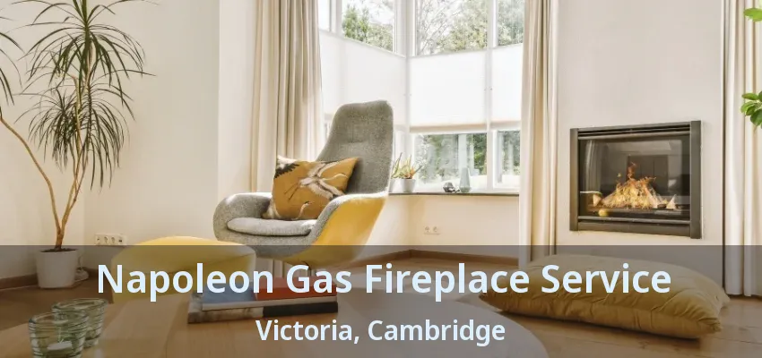 Napoleon Gas Fireplace Service Victoria, Cambridge - ON Napoleon Gas Fireplace Service Victoria, Cambridge - ON