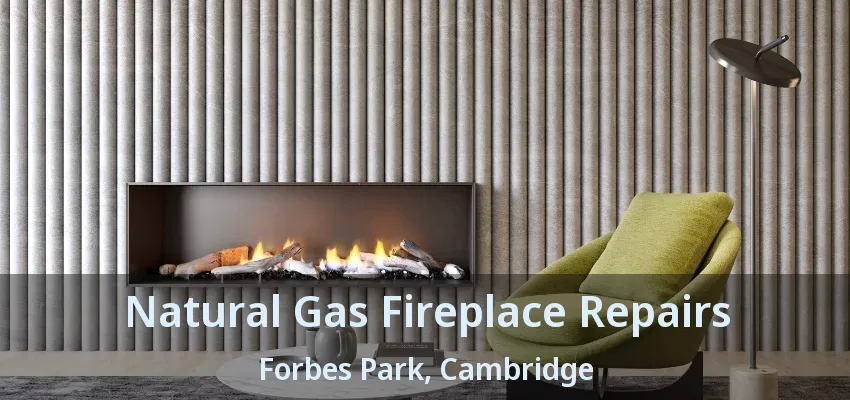 Natural Gas Fireplace Repairs Forbes Park, Cambridge - ON Natural Gas Fireplace Repairs Forbes Park, Cambridge - ON