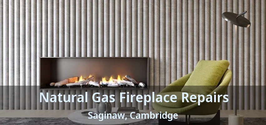 Natural Gas Fireplace Repairs Saginaw, Cambridge - ON Natural Gas Fireplace Repairs Saginaw, Cambridge - ON