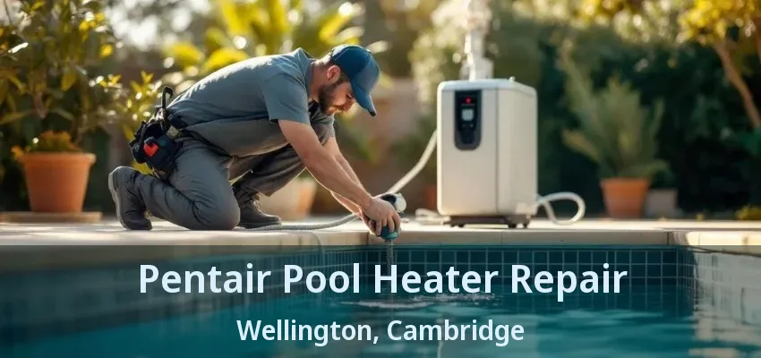 Pentair Pool Heater Repair Wellington, Cambridge - ON