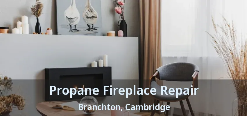 Propane Fireplace Repair Branchton, Cambridge - ON Propane Fireplace Repair Branchton, Cambridge - ON