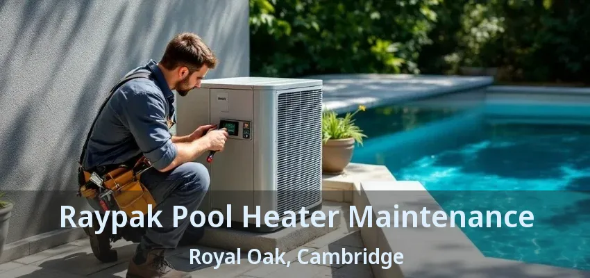 Raypak Pool Heater Maintenance Royal Oak, Cambridge - ON Raypak Pool Heater Maintenance Royal Oak, Cambridge - ON