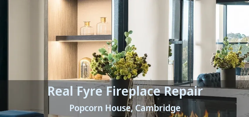 Real Fyre Fireplace Repair Popcorn House, Cambridge - ON Real Fyre Fireplace Repair Popcorn House, Cambridge - ON