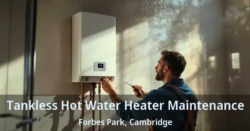 Tankless Hot Water Heater Maintenance Forbes Park, Cambridge - ON Tankless Hot Water Heater Maintenance Forbes Park, Cambridge - ON