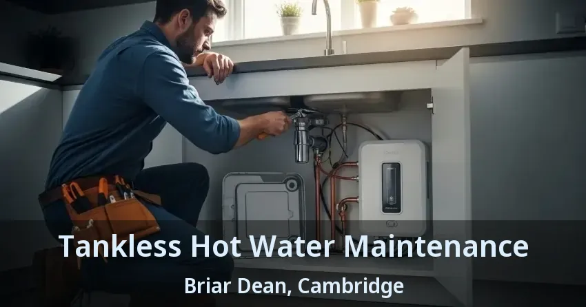 Tankless Hot Water Maintenance Briar Dean, Cambridge - ON Tankless Hot Water Maintenance Briar Dean, Cambridge - ON