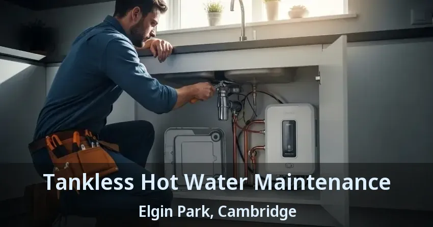 Tankless Hot Water Maintenance Elgin Park, Cambridge - ON