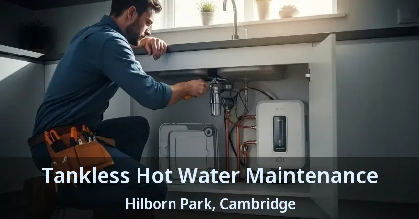 Tankless Hot Water Maintenance Hilborn Park, Cambridge - ON