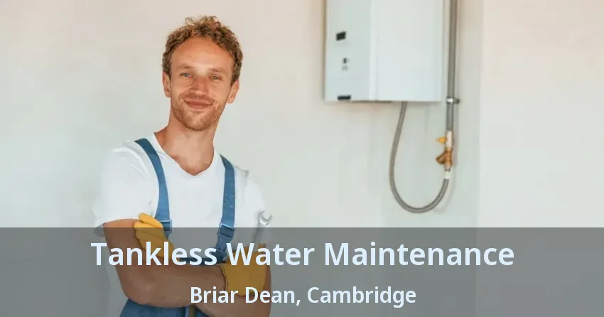 Tankless Water Maintenance Briar Dean, Cambridge - ON Tankless Water Maintenance Briar Dean, Cambridge - ON