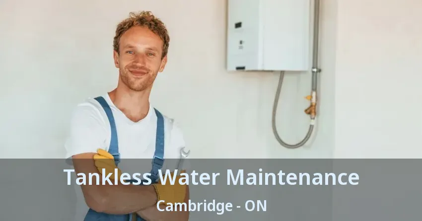 Tankless Water Maintenance Cambridge - ON Tankless Water Maintenance Cambridge - ON