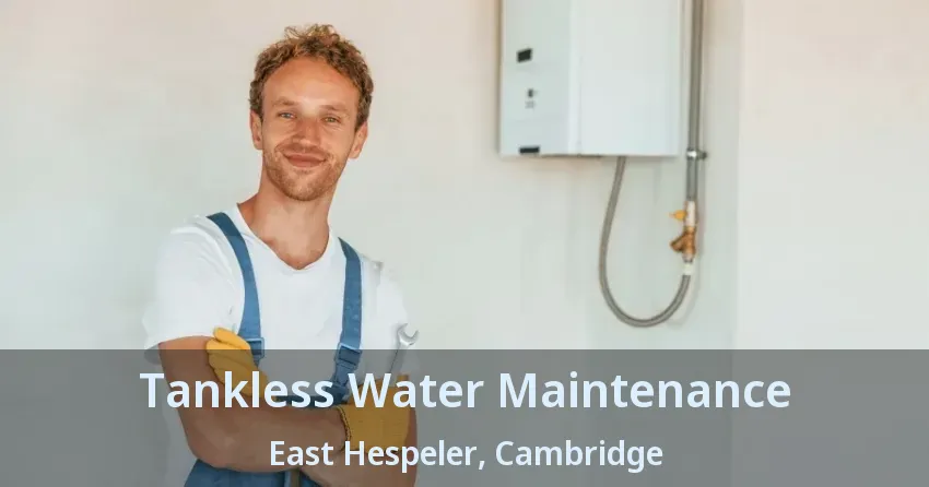 Tankless Water Maintenance East Hespeler, Cambridge - ON